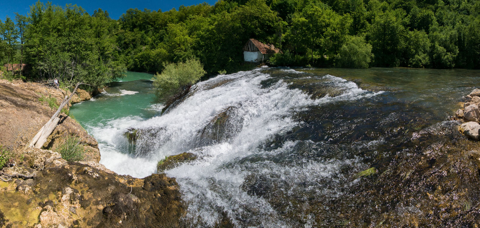 MREZNICA3 SUSNJAR PANORAMA